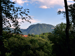 PARCO NATURALE DEL MONTE FENERA
